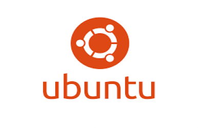 Prompt Instalasi Ubuntu Server + Apache, Netdata, dan DNS (Bind9)